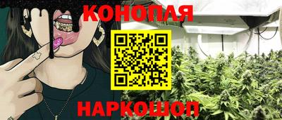 бошки Славгород